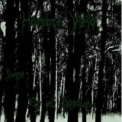 Hombre Viejo : En el Bosque Hombre Viejo : En el Bosque